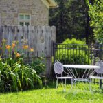 Wat kost een nieuwe tuin? Ontdek het in onze blog