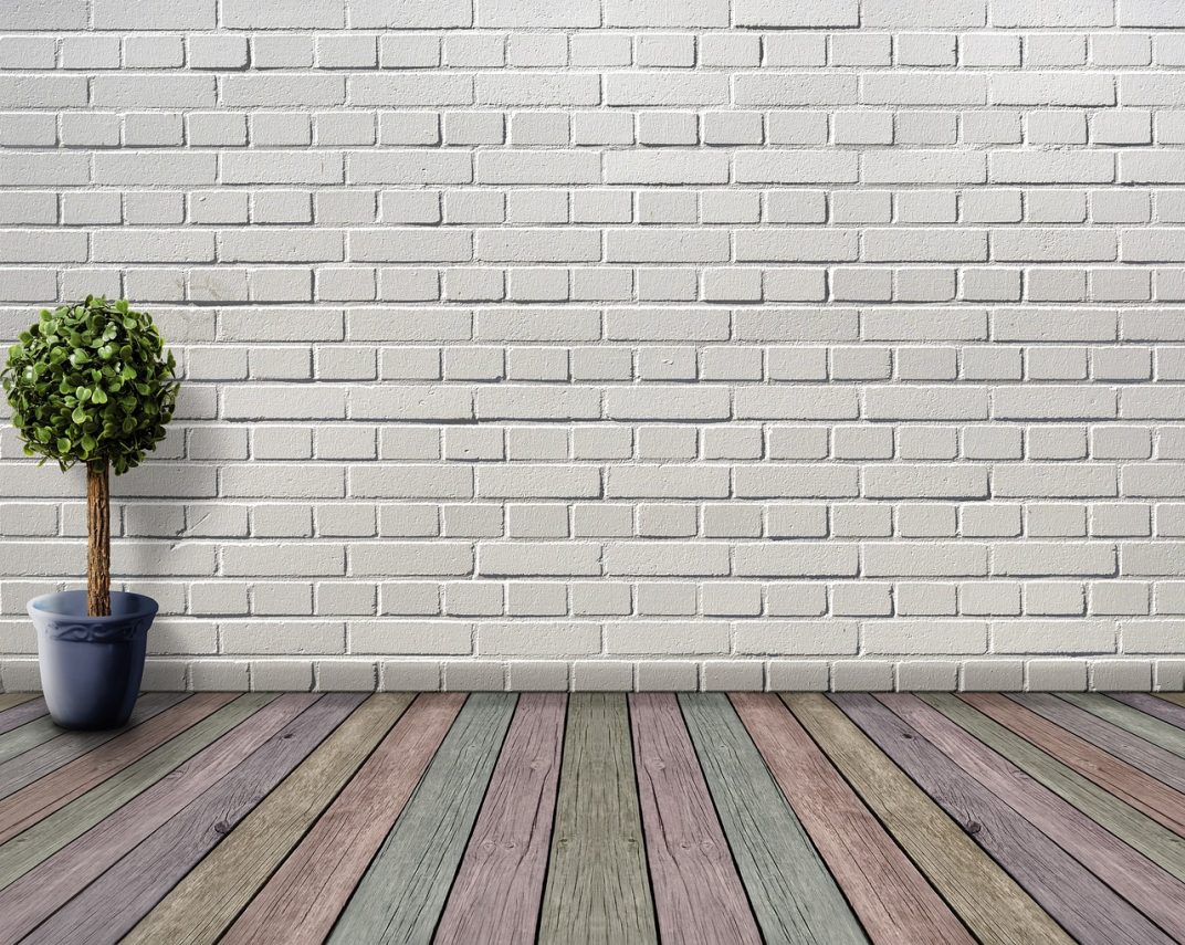 Groene kunstwerken: planten als muurdecoratie