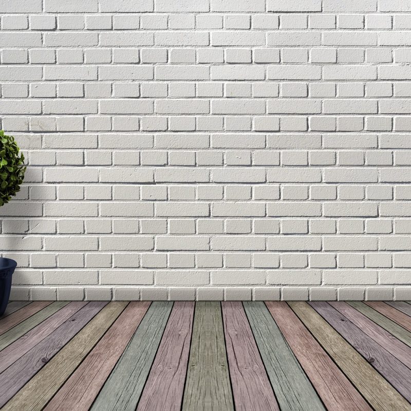Groene kunstwerken: planten als muurdecoratie