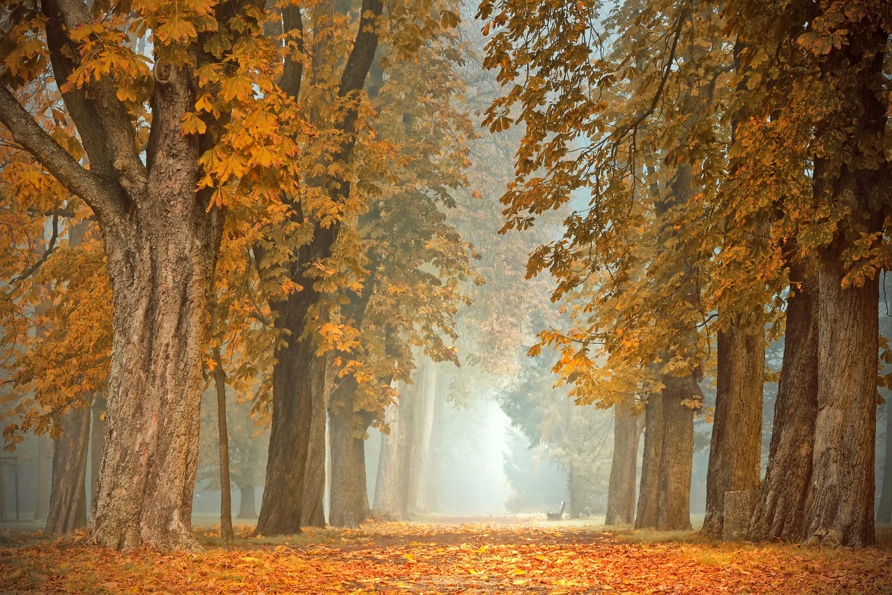 LED-strips accentueren paden in de herfsttuin.