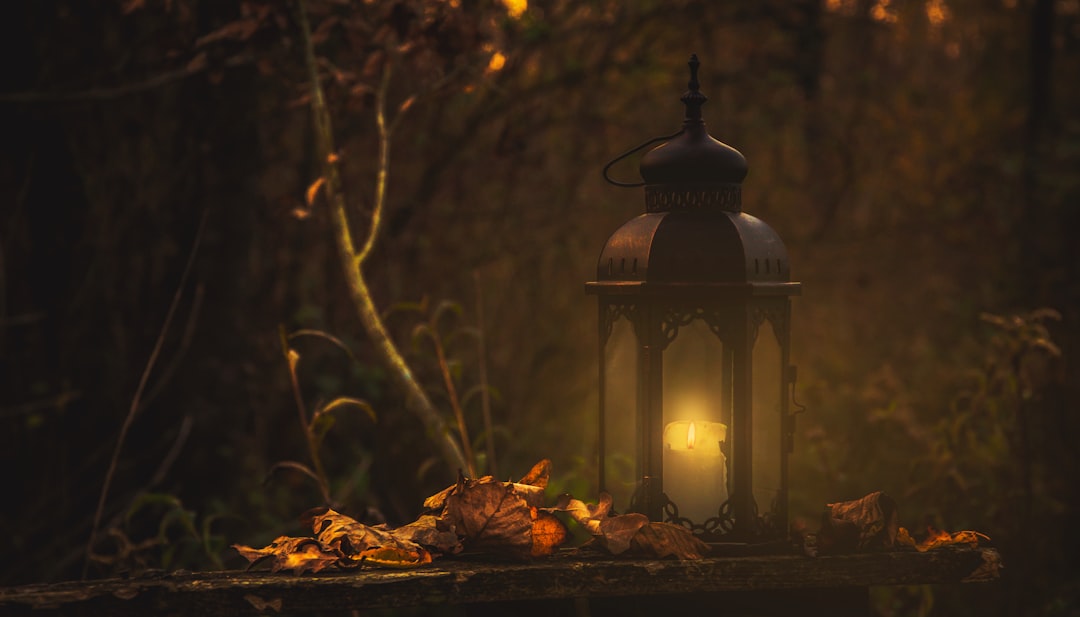 Essentiële gids voor herfstverlichting: lampen voor binnen en buiten